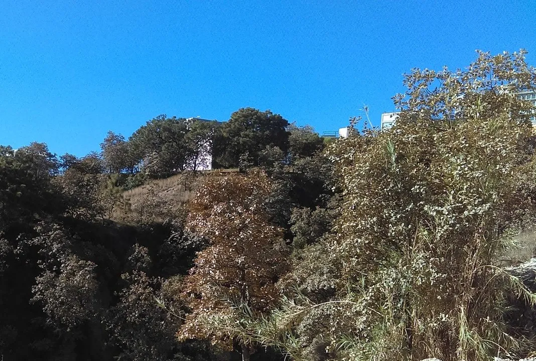 Foto 7 de TERRENO RESIDENCIAL 260 MTS2 ZONA VIRREYES