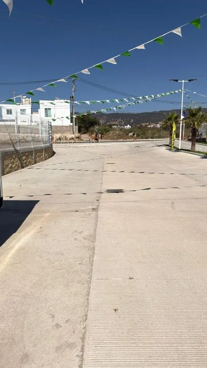 Foto 2 de Terrenos Residenciales en Venta en Bosques de Santa Anita | Solena Residencial