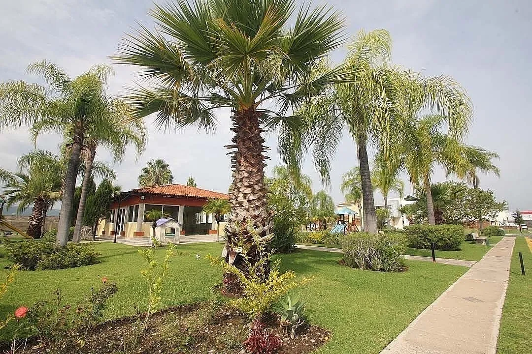 Foto 8 de Terrenos en venta Valle de las Flores Guadalajara | Crédito INFONAVIT y Bancario