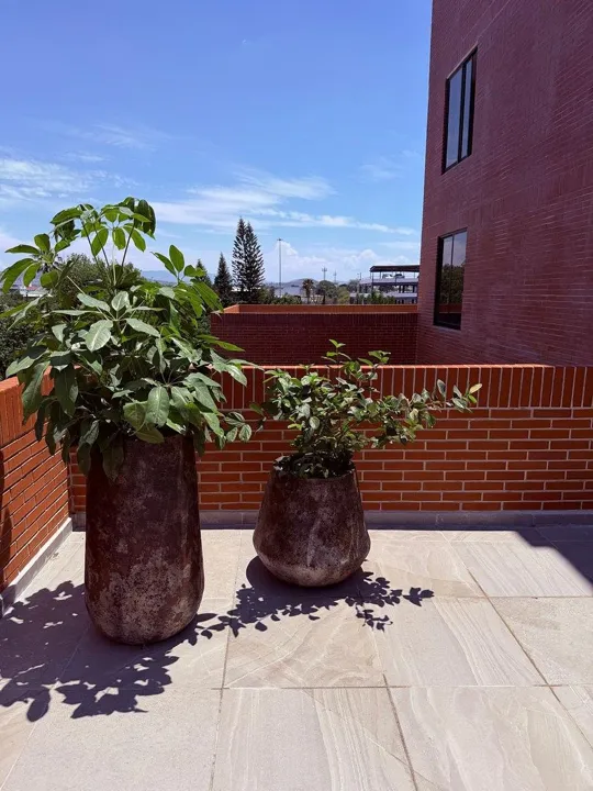 Foto 9 de Departamento amueblado en renta en Condominio Argentina, Col. Moderna, Gdl.