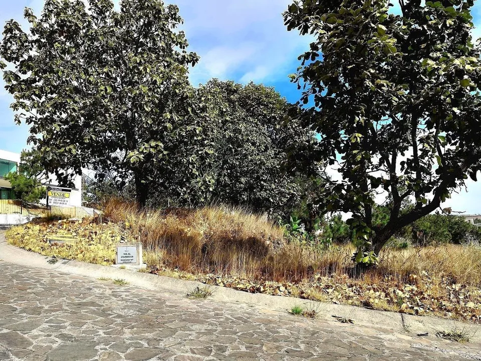 Foto 4 de DIANA NATURA RESIDENCIAL TERRENO EN VENTA EN ESQUINA