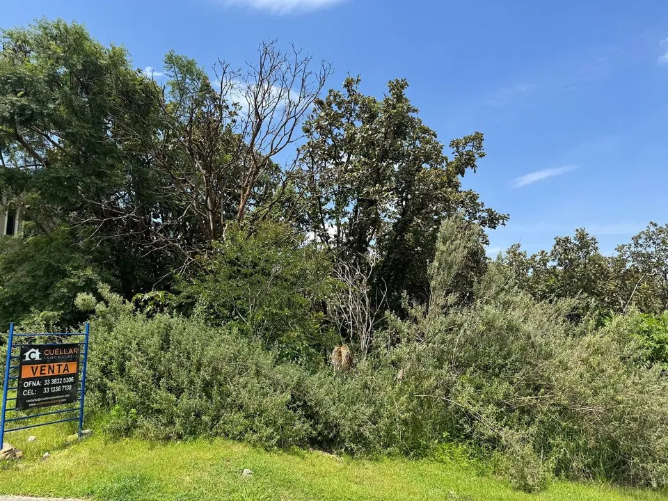 TERRENO EN VENTA EL PALOMAR, TLAJOMULCO DE ZUÑIGA, JALISCO