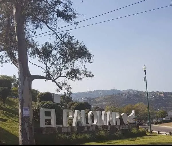 Foto 9 de TERRENO EN VENTA EL PALOMAR, TLAJOMULCO DE ZUÑIGA, JALISCO