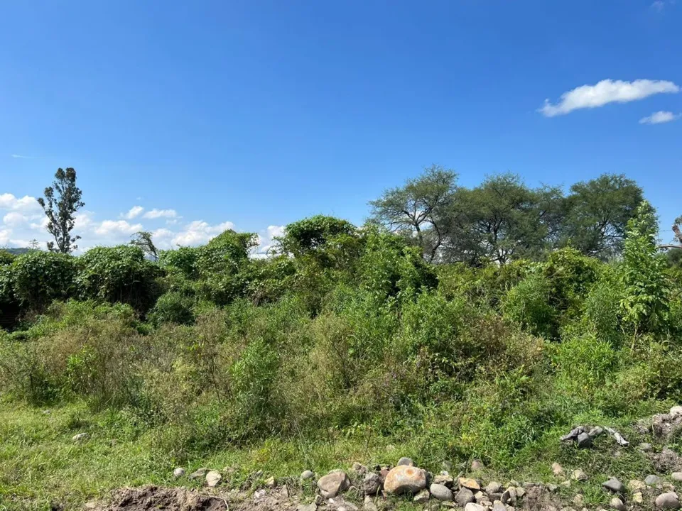 Terreno La Calera Tlajomulco de Zuñiga