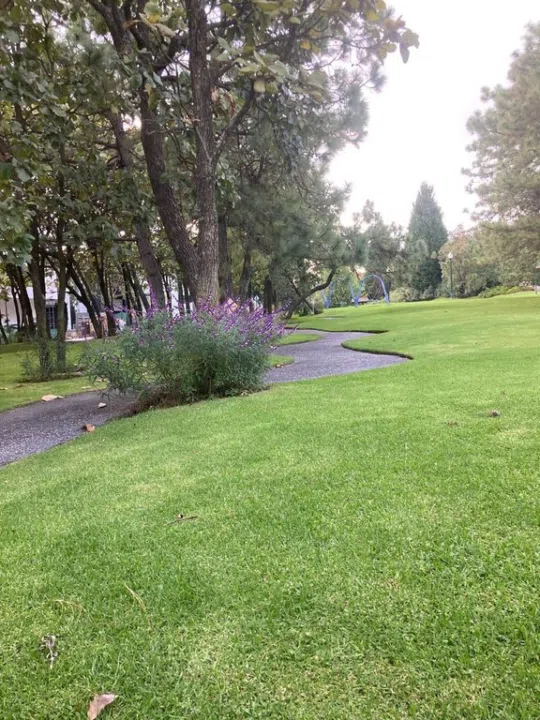 Terreno/Lote en PASEO DEL BOSQUE  #525 , Tlajomulco de Zúñiga
