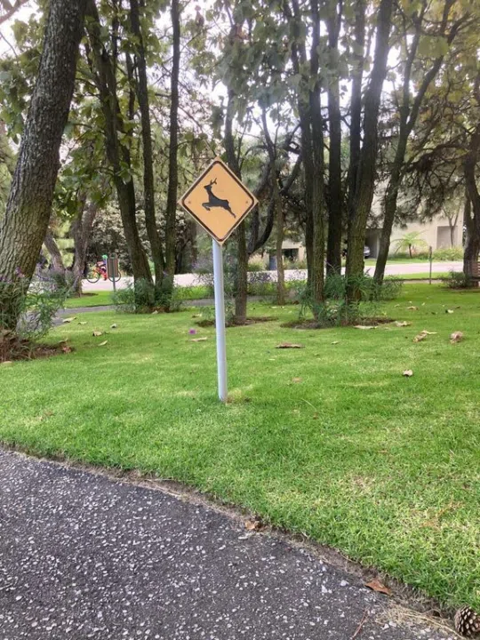 Foto 2 de Terreno/Lote en PASEO DEL BOSQUE  #525 , Tlajomulco de Zúñiga