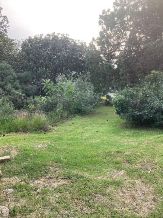 Foto 3 de Terreno/Lote en PASEO DEL BOSQUE  #525 , Tlajomulco de Zúñiga