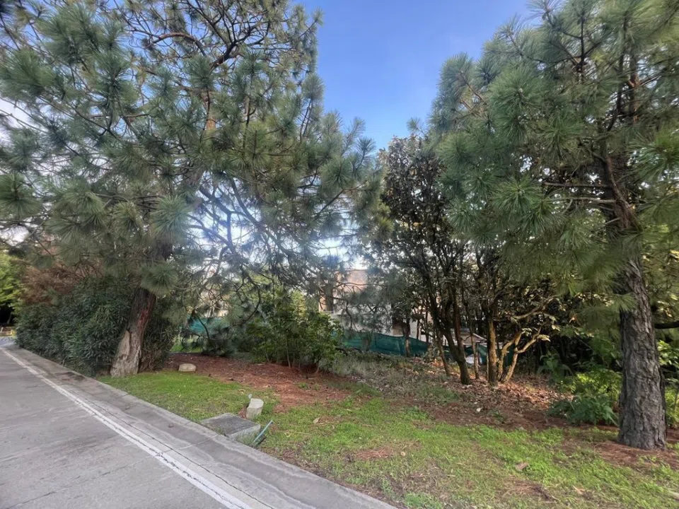 Foto 4 de Terreno/Lote en PASEO DEL BOSQUE  #525 , Tlajomulco de Zúñiga