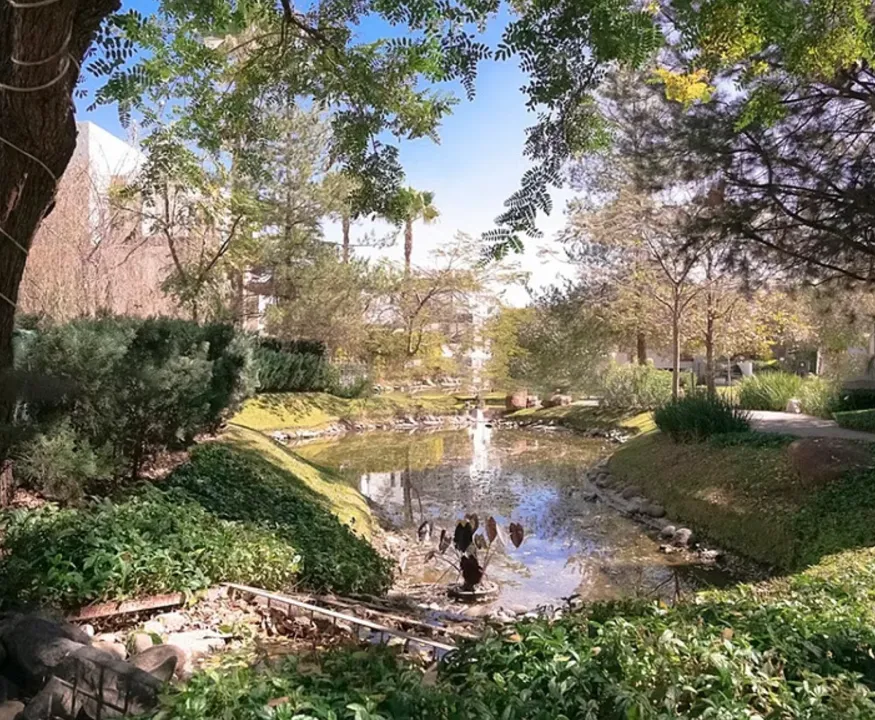 Terreno  En Venta, Bosque de los Lagos, Vallarta Universidad