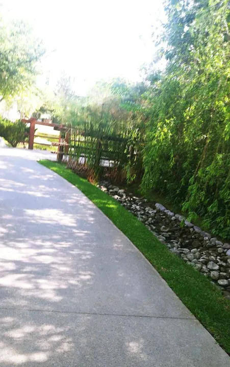Foto 4 de Terreno  En Venta, Bosque de los Lagos, Vallarta Universidad
