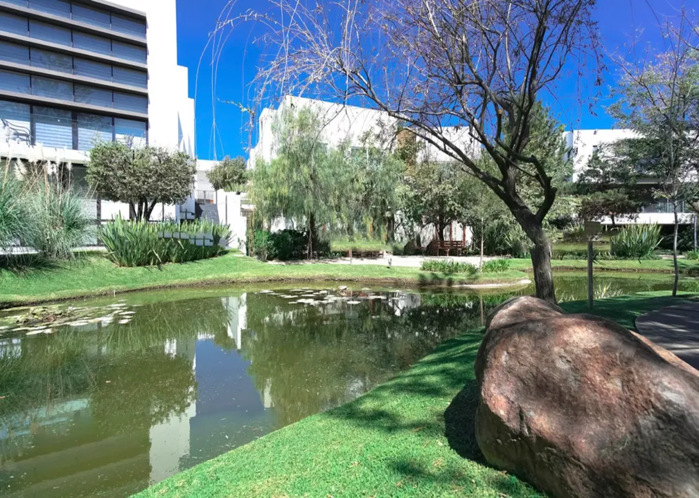Foto 6 de Terreno  En Venta, Bosque de los Lagos, Vallarta Universidad
