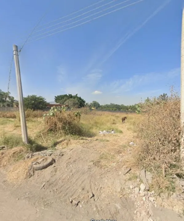 Foto 3 de Terreno en venta en Camino al Molino, San Sebastian el Grande, Tlajomulco de Zúñiga