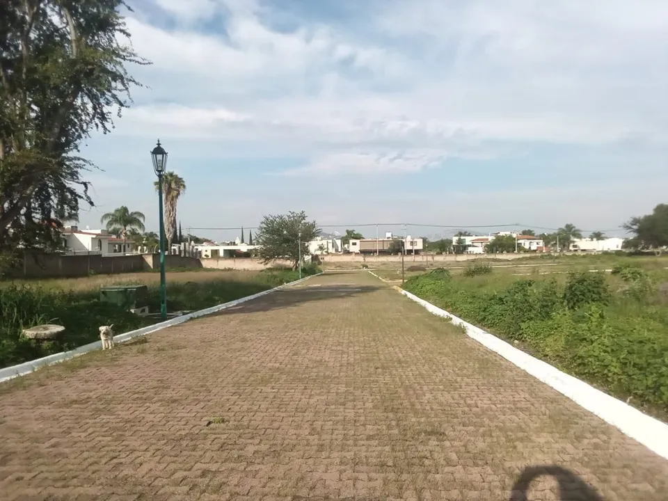 Foto 3 de Terreno en Venta en Bugambilias 1era Seccion en Zapopan